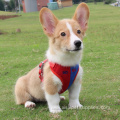 Wholesale Fashion Dog Harness And Leash